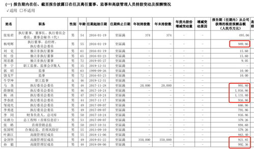 证券求职经历怎么写
