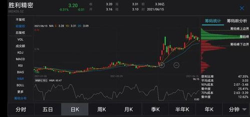 禁售期股票如何司法处置