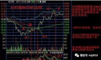 股票如何跟庄最好 股票如何跟庄最好