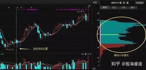20年前的股票如何兑换