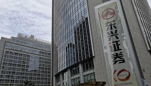 东星证券怎么样