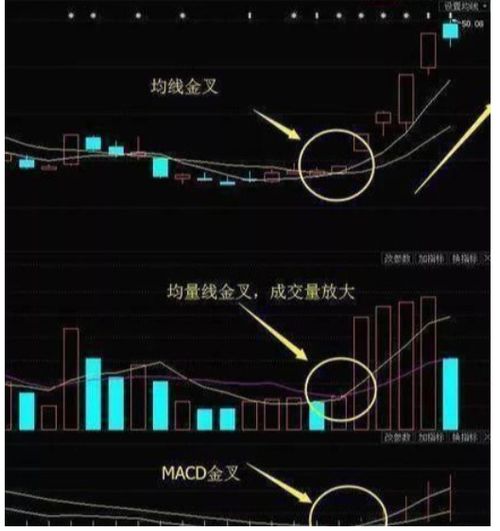 股票如何看出主力动向