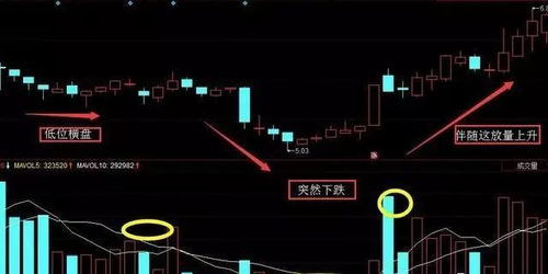 如何简单了解一只股票