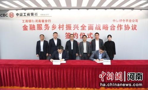 乡村振兴证券公司怎么样