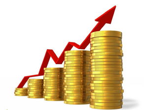 怎么成立证券基金