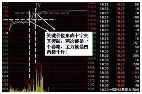 散户如何在股票中持仓 散户如何在股票中持仓