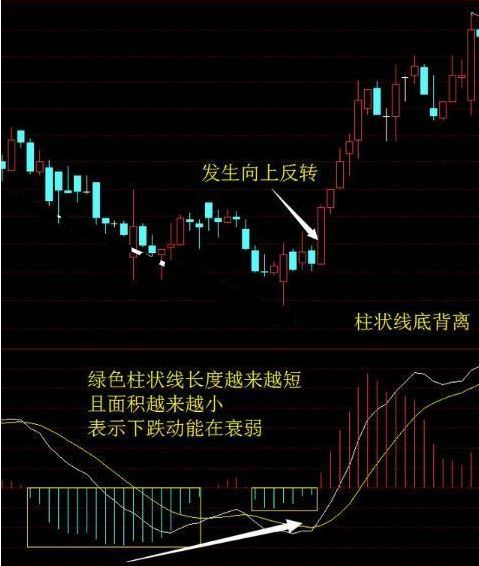 股票如何生存