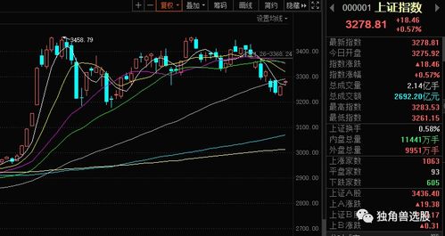 股票异动如何交易