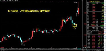 股票中如何寻找同类股票