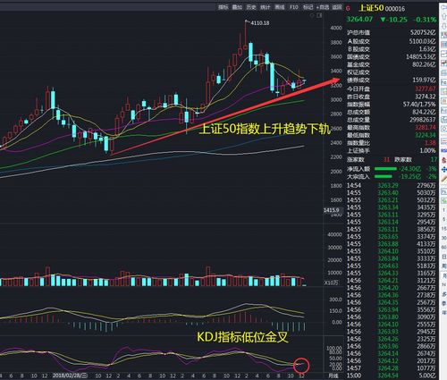 如何下载股票年报 如何下载股票年报