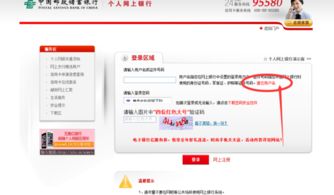 证券帐号不记得了怎么办 证券帐号不记得了怎么办