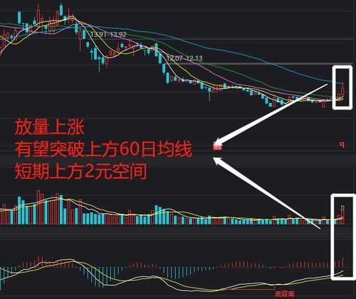 股票账户的股票如何锁定