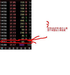 如何查看股票转账明细