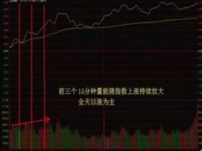 如何看别人的持仓股票