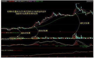 如何分辨股票是重仓股票