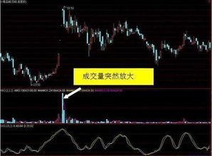 如何少看股票