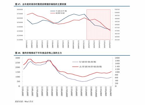 东方证券怎么是创业板呢
