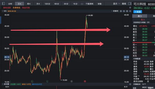 股东如何看股票