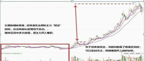 如何鉴定优质股票