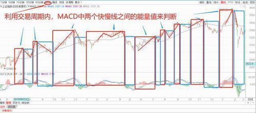 如何判断股票赔光