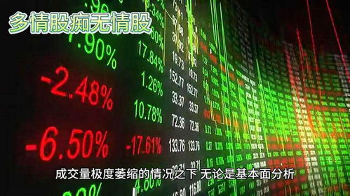 如何获取每天股票价格