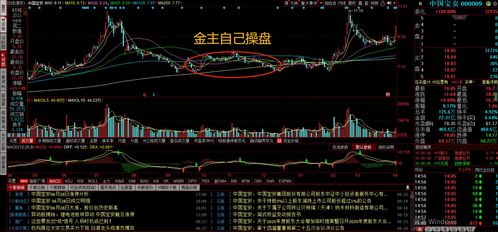 如何做乐趣股票