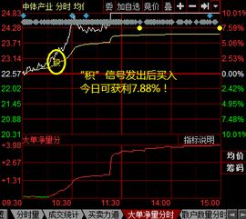 体育概念股票前景如何