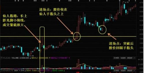 股票如何抓住主力