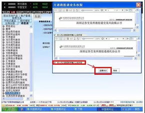 启用证券账户怎么操作