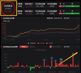 股票如何毁掉股东