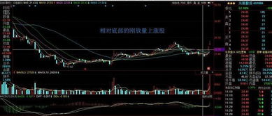 牛市里如何买股票