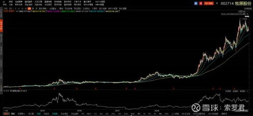 高成长如何分析股票