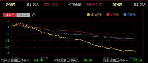如何看股票财务信息