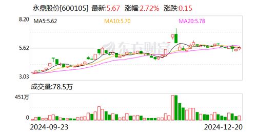 如何看股票财务信息