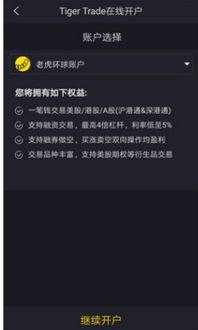 老虎证券怎么打入资金