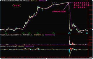 上海股票下跌预兆如何 上海股票下跌预兆如何