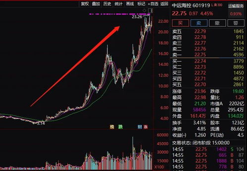 如何录全天股票视频赚钱