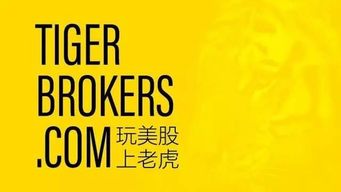 老虎证券怎么样