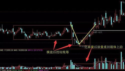 股票如何分类庄家和散户