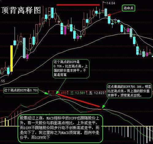 创新低的股票如何筛选