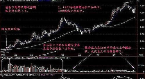 股票交易如何算频繁交易