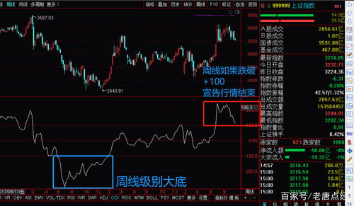 明日开市如何看股票