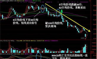 国联证券怎么看金叉死叉