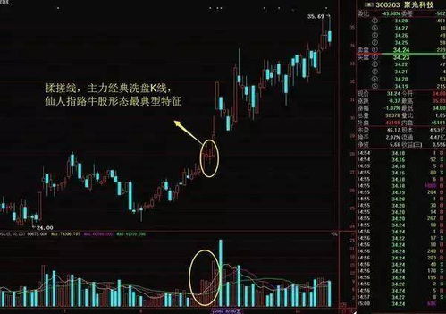 如何发现市场的强势股票