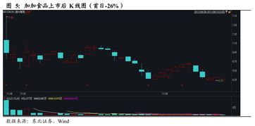 东北证券新股怎么买入 东北证券新股怎么买入
