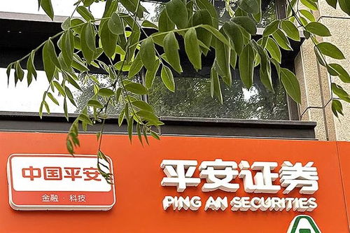 平安证券的待遇怎么样