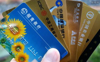 华宝证券银行卡怎么查