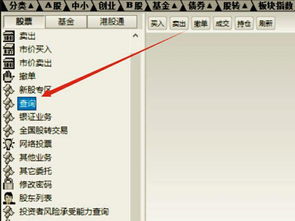 上海证券资金帐号怎么查