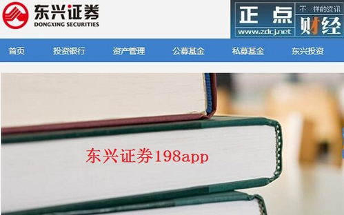东兴证券198怎么用