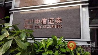 山东证券中信证券怎么样